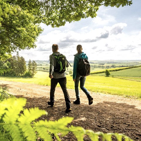 Wandern Stausee-Prümtal Route, © Eifel-Tourismus GmbH/ Dominik Ketz