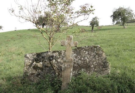 Streuobstwiesen oberhalb von Erdorf mit Wegkreuz von 1804, © NaturAktivErleben