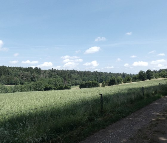 Aussicht vom Wanderweg, © TI Bitburger Land