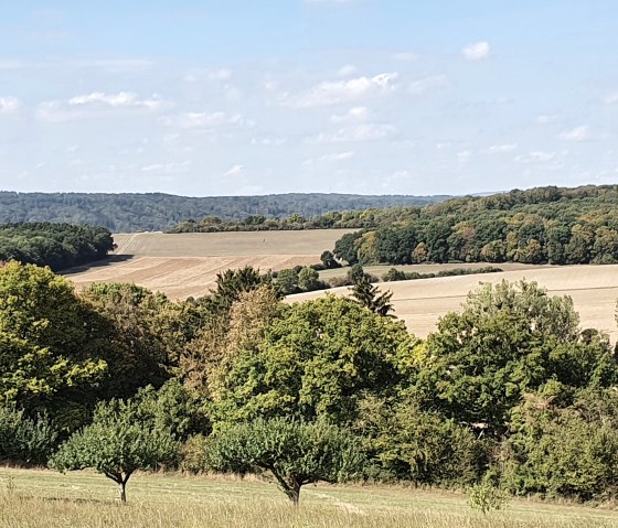 Blick auf Streuobstwiese, © TI Bitburger Land - Steffi Wagner