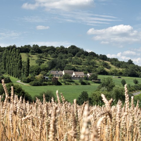 Römische Villa Otrang bei Fließem, © Ferienregion Bitburger Land