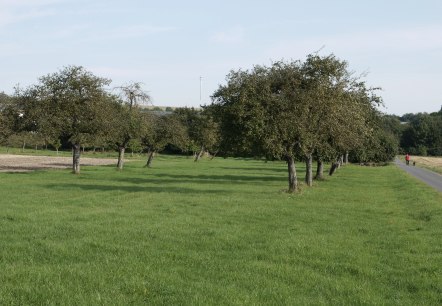 Streuobstwiese auf dem Wanderweg Badem - B1, © Berscheid