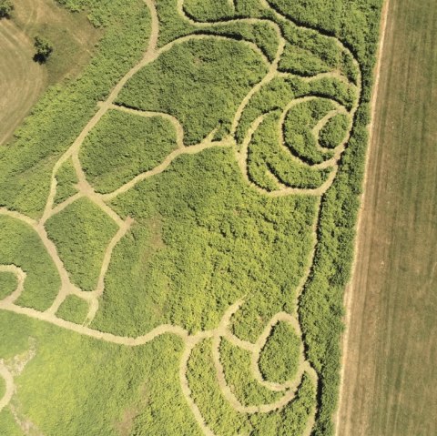 Naturlabyrinth Lausberg, © Leo Lausberg