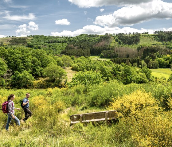 ET-2022-085-Naturwanderpark Deluxe, Eifel-Gold Route, Irsental bei Daleiden-© Eifel Tourismus GmbH, Dominik Ketz, © Eifel Tourismus GmbH, Dominik Ketz