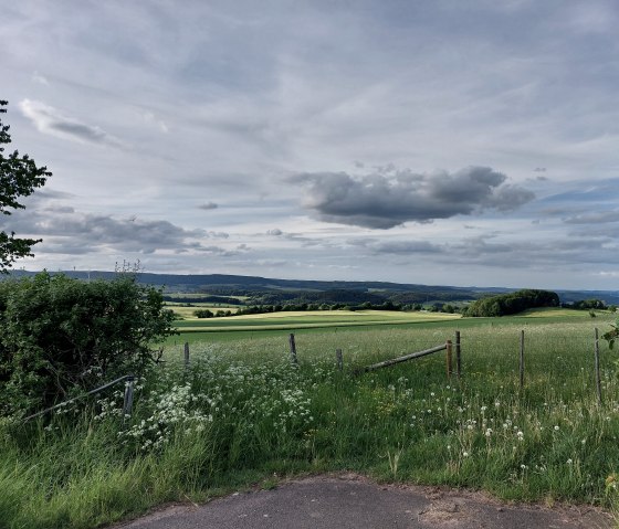 Blick  östliche Kalkmulde Büdesheim, © Tourist-Information Prümer Land Elke Dahm