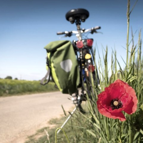 Fahrrad Mohn