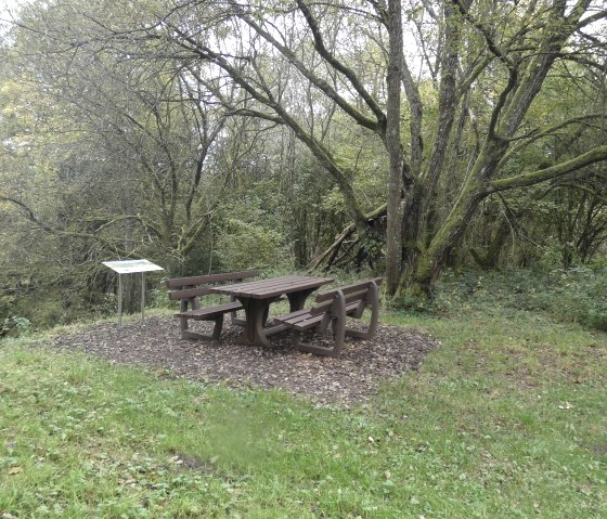 Rastplatz mit Aussicht auf St. Thomas, © TI Bitburger Land