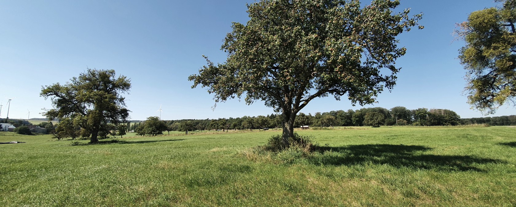 Pure Idylle - Bitburger LandGang in Idesheim, © TI Bitburger Land