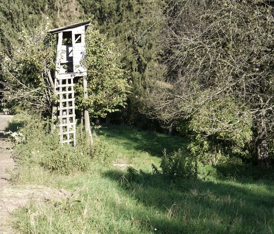 Unterwegs auf dem Wanderweg B3, © Berscheid