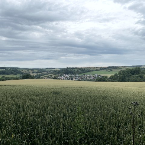 Blick auf Oberweis, © Daniel Köhler