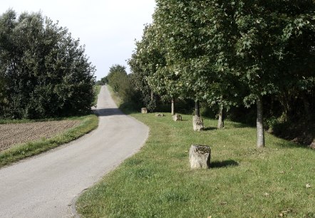 Wanderweg Badem B2, © Berscheid