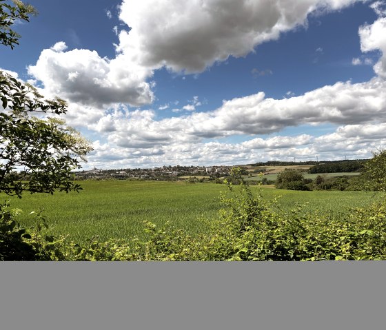 Ausblick auf der RWE-Route, © TI Bitburger Land