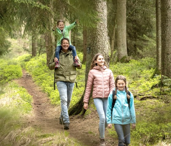 Entdeckungstour durch den Wald, Märchenpfad Bollendorf, © Eifel Tourismus GmbH, Dominik Ketz