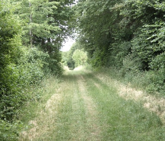 Wanderweg Neubaugebiet, © TI Bitburger Land