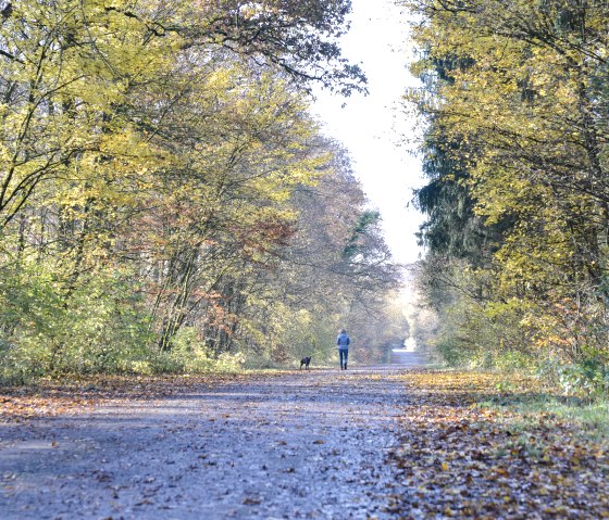 Unterwegs auf dem Wolfspfad, © Ti Bitburger Land