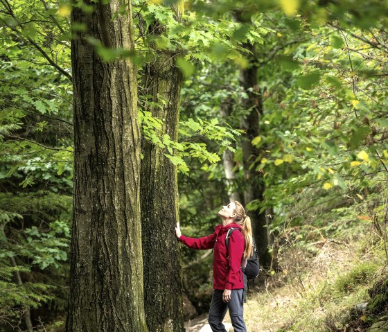 Gestion du stress, © Eifel Tourismus GmbH, Dominik Ketz