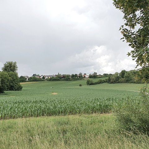 Blick über das Bitburger Gutland