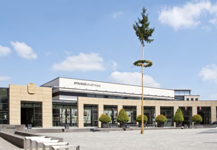 Maibaum vor der Stadthalle