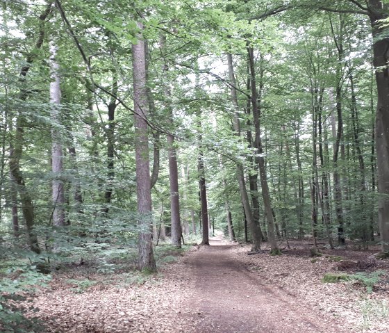 Delux Wanderweg 1