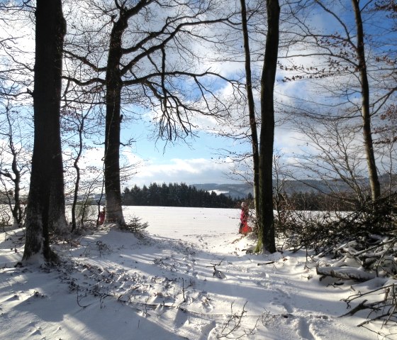Winterwanderung in Niederweiler, © TI Bitburger Land