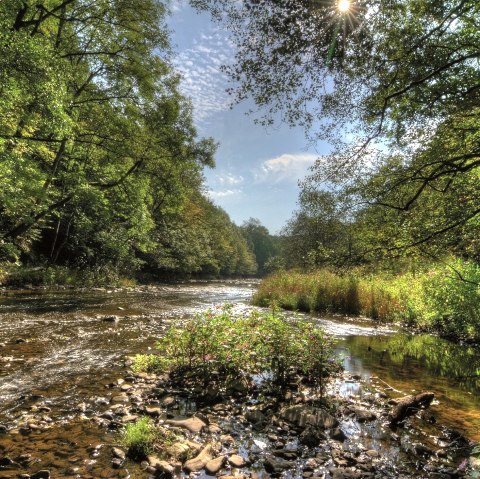 Am Ufer der Prüm auf der Stausee-Prümtalroute