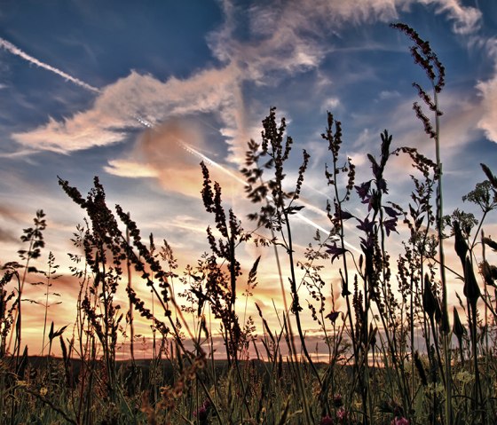 Das Enztal auf dem Schluchtenpfad, © Naturpark Südeifel, Thomas Kirchen