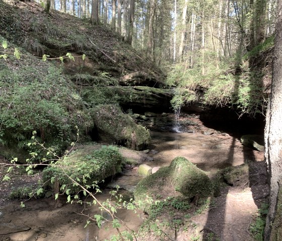 Wanderweg Röhl_Von Rula und Sulmana(C)Benjamin Milbach (6), © Benjamin Milbach