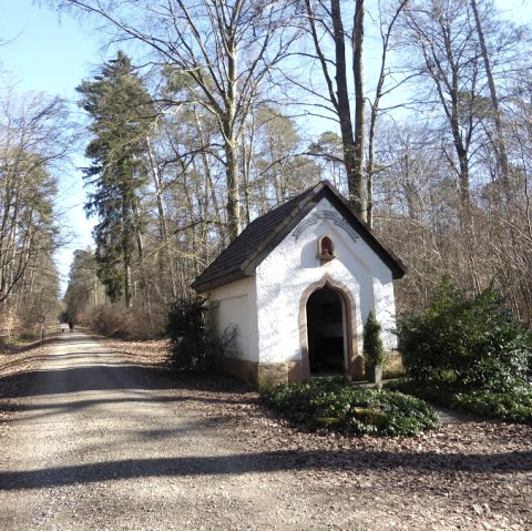 Bildchen am Schönfelderweg in Speicher, © Eifelverein Ortsgruppe Speicher