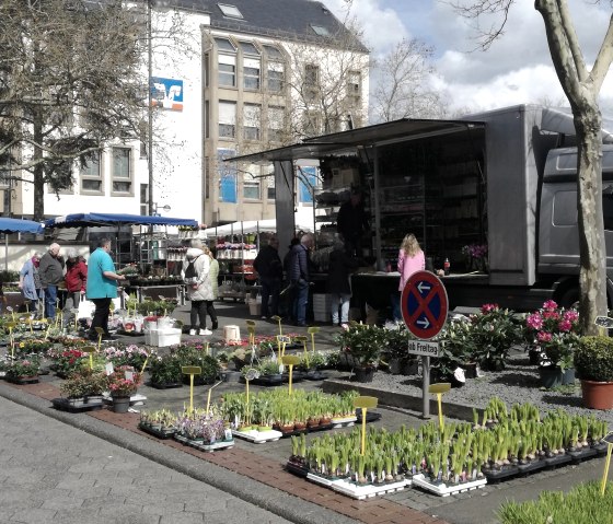 Market in Bitburg, © TI Bitburger Land