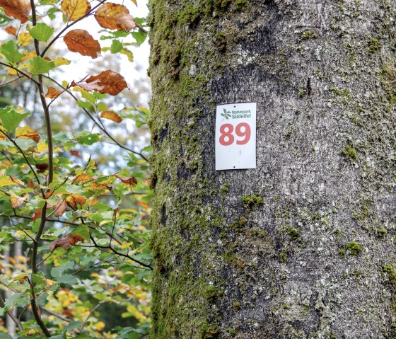 Markierung des Rundwanderwegs Nr. 89, © TI Bitburger Land