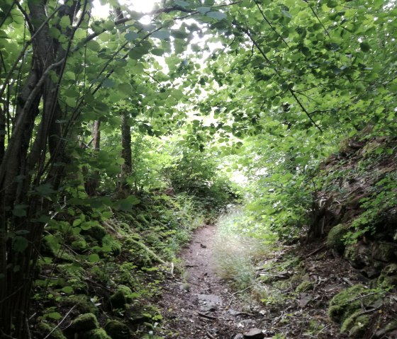 Mühlenweg Speicher, © Tourist-Information Bitburger Land