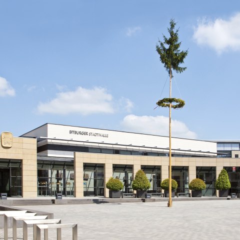 Maibaum vor der Stadthalle