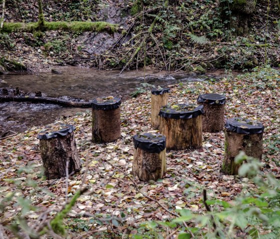 Möglichkeit zur Rast - Gewässerlehrpfad Echtersbach, © Tourist-Info Bitburger Land