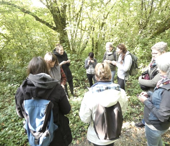 geführte Wanderung, © TI Bitburger Land