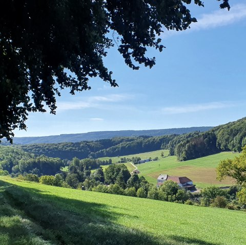 Vue panoramique sur la vallée de l'Enz, © TI BItburger Land - Steffi Wagner