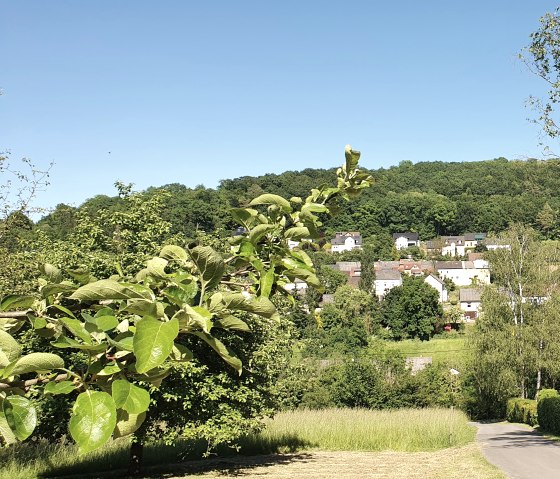 Bitburger LandGang Wandersteig Tanzlay - Blick auf Hüttingen, © TI Bitburger Land