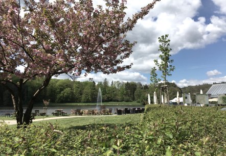 Stausee Bitburg - Start der Wanderung, © TI Bitburger Land