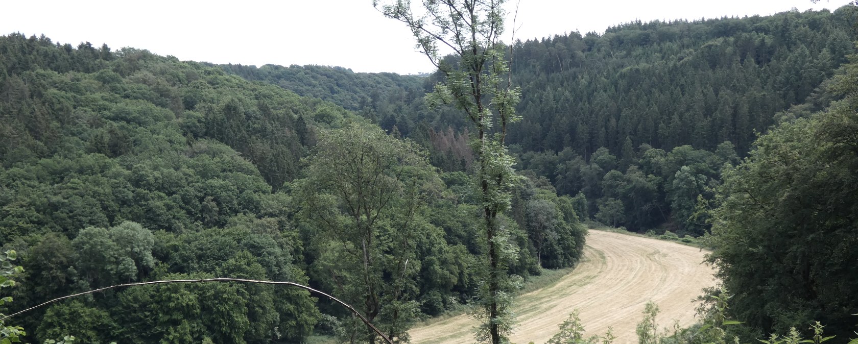 Blick ins Kylltal, © TI Bitburger Land