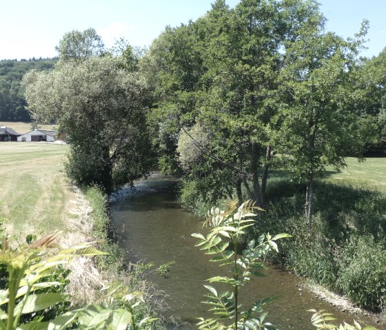 Wasserlauf am Wegrand, © TI Bitburger Land