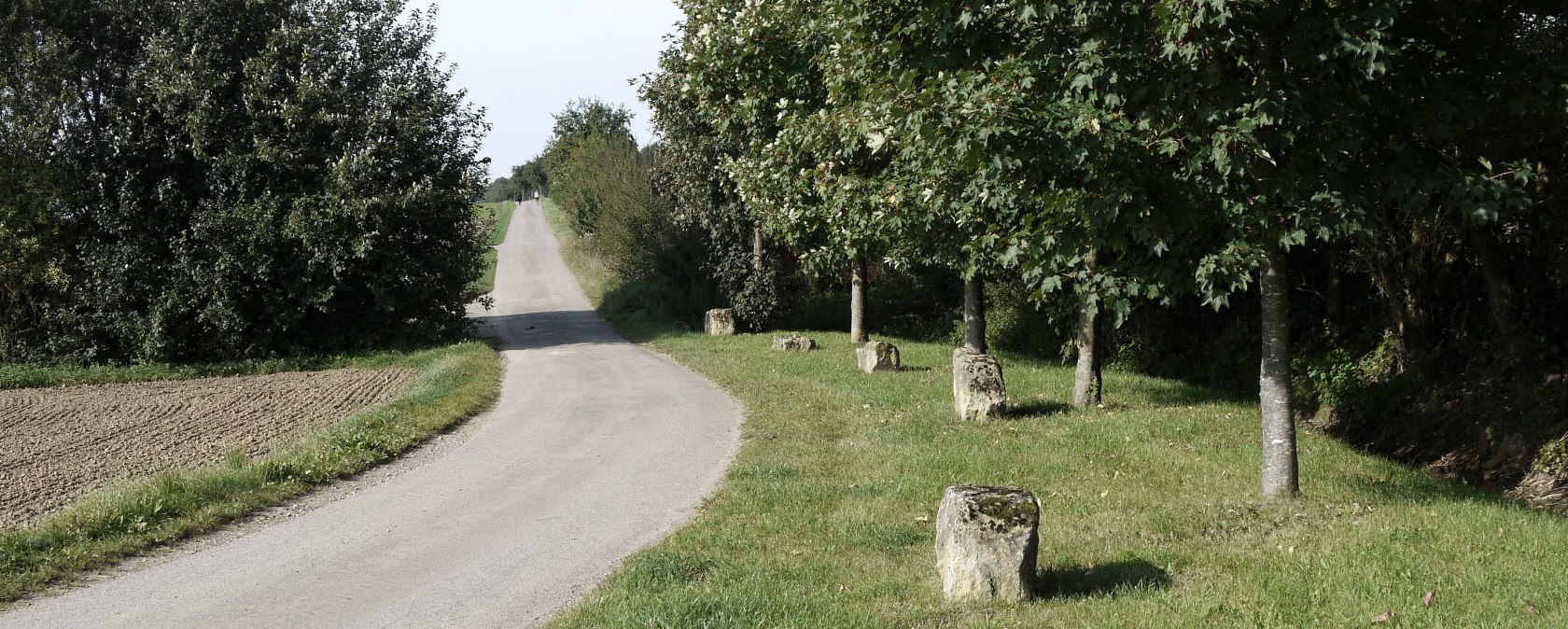 Wanderweg Badem B2, © Berscheid