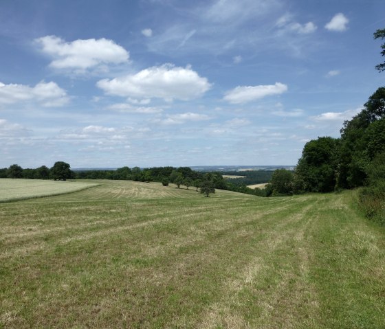 Herrliche Blicke vom Wackenkopf, © NaturAktivErleben