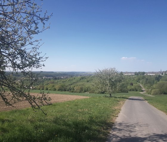 Wirtschaftsweg zwischen Speicher und Preist, © TI Bitburger Land_Uschi Hallet