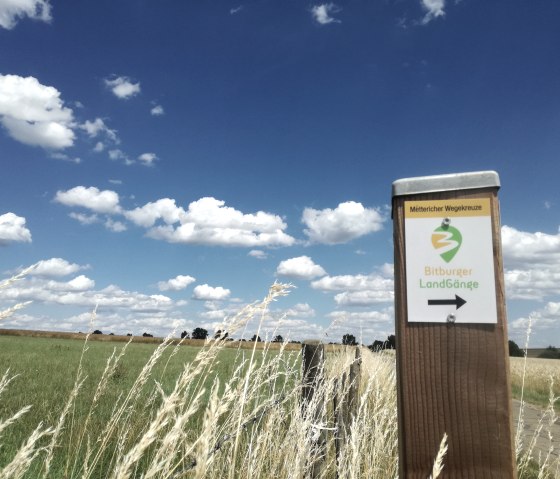 Bitburger LandGang "Mettericher Wegekreuze"- Markierungsposten, © Tourist-Informationen Bitburger Land