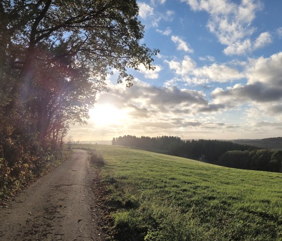 Herbstspaziergang bei Prüm, © Tourist-Information Prümer Land Sebastian Wiesen