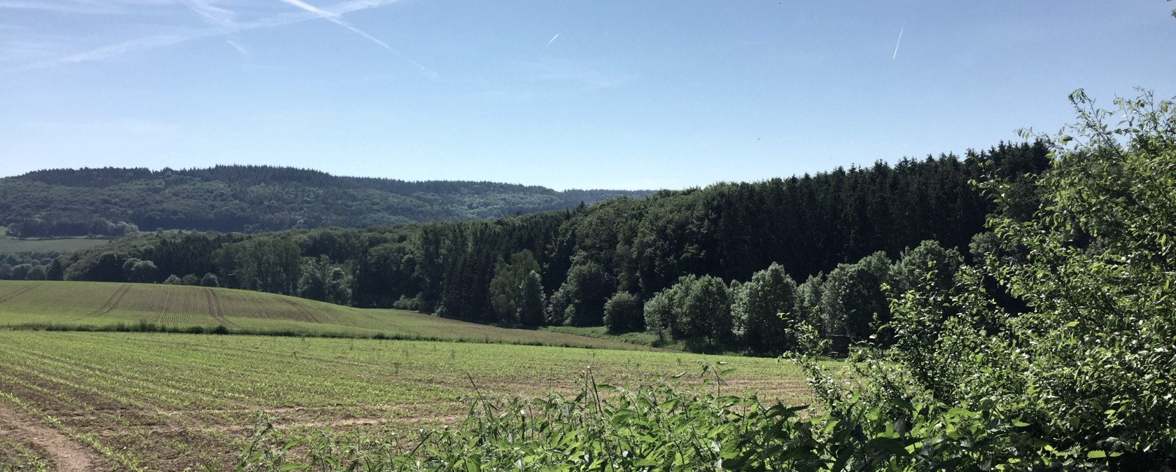 Aussicht Rundwanderweg Nr. 76 des Naturpark Südeifel Bettingen, © TI Bitburger Land