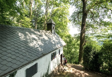 Wunder am Wegesrand, © Eifel Tourismus GmbH, Dominik Ketz