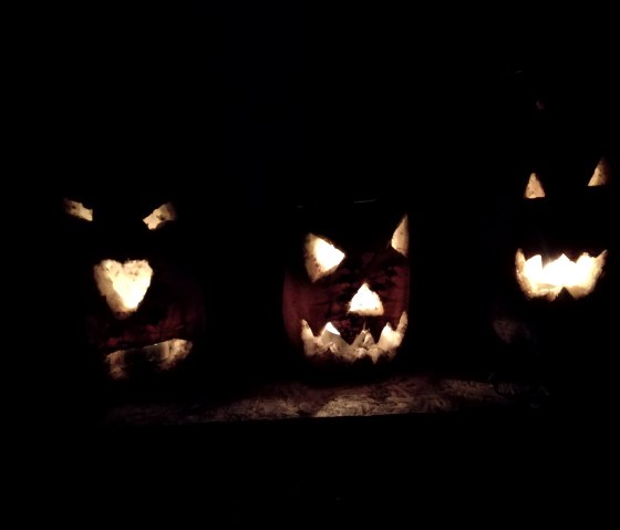 Beet lanterns in the dark, © TI Bitburger Land