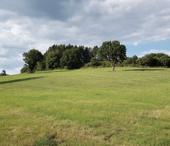 Wanderung bei Niederprüm am Mehlenbach, © Tourist-Information Prümer Land Sebastian Wiesen