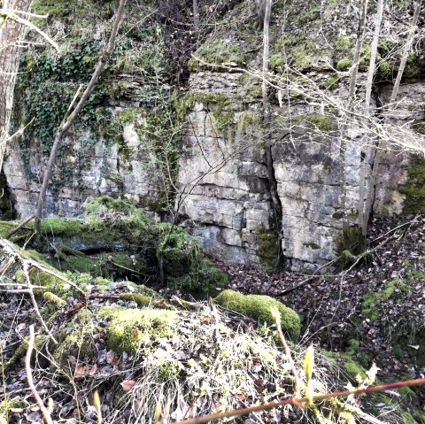 ehemaliger Steinbruch bei Gondorf, © Tourist-Information Bitburger Land_Melanie Salzburger