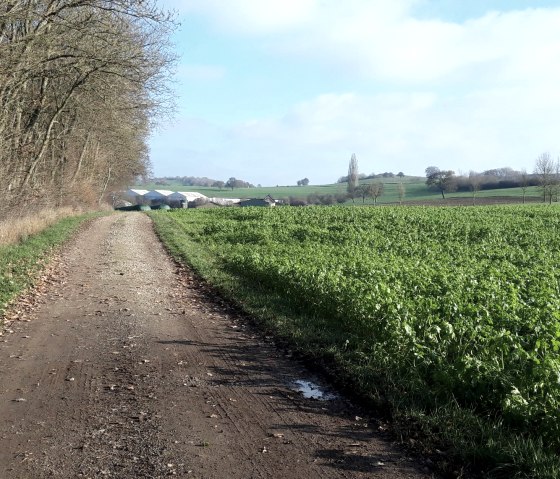 Unterwegs auf dem Wanderweg 2b in Wißmannsdorf, © Georg Lotzkes